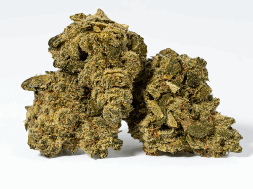 Obama Kush (AA)