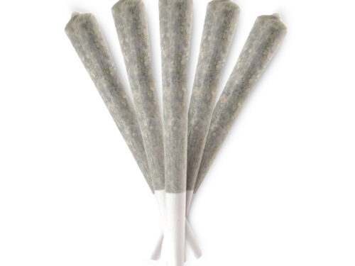 Premium 1g House Joints (AAAA) - 5 Pack
