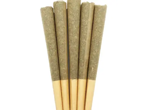 Premium 1g House Joints (Craft) - 5 Pack