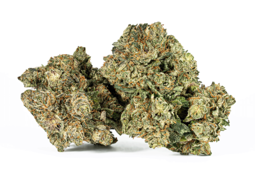 Purple Kush (AAA)