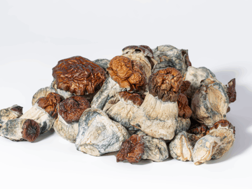 B+ Mushrooms