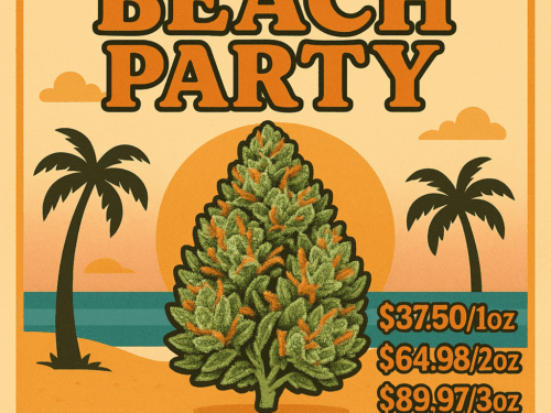 Beach Party (Promo)