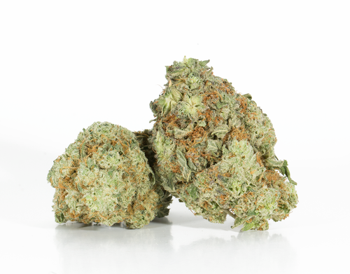 Berner Cookies (AAAA)