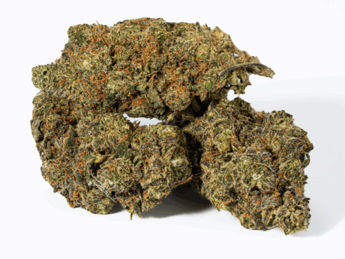 Blue Face (AAA)