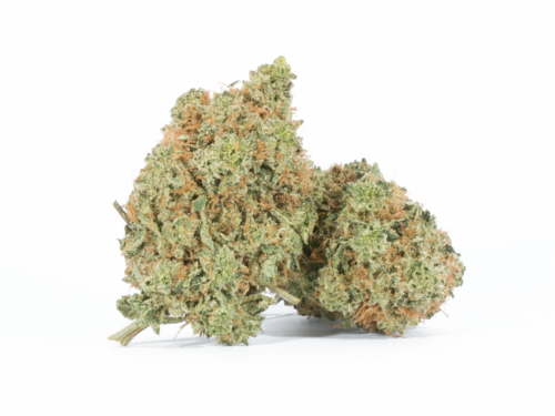 Critical Mass (AA+)