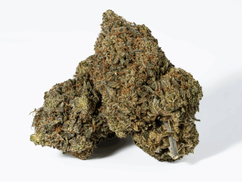 Platinum Glue (AAA+)