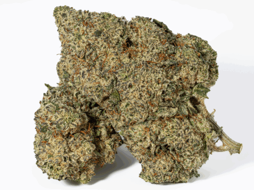 Frosted Donkey (AAA+)