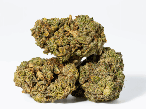 98 Lemon Haze (AA)