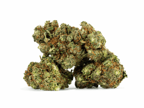 OJ Kush (AA+)