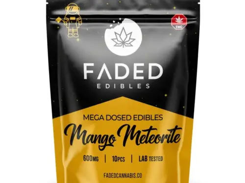 Faded Mega Dosed Astros - Mango Meteorite (600mg)