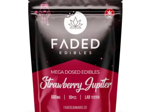 Faded Mega Dosed Astros - Strawberry Jupiter (600mg)