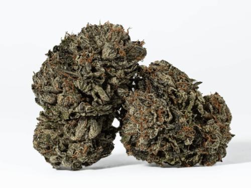 Gas Daddy (AAAA)