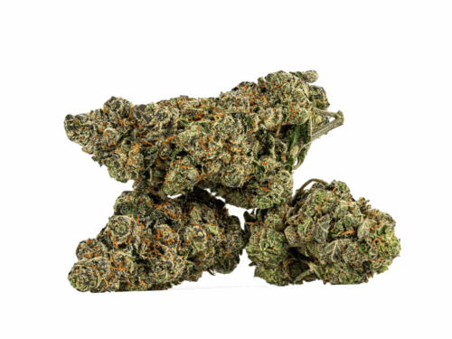 Humboldt Frost (AAAA)