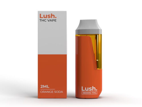 Lush - Discreet THC Disposable Vape (2 Grams) - Orange Soda (Hybrid)