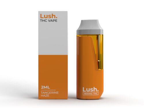 Lush - Discreet THC Disposable Vape (2 Grams) - Tangerine Haze (Sativa)