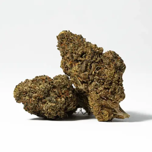 Jean Guy is a sativa-dominant (90% Sativa / 10% Indica) phenotype of the Canadian White Widow strain. Known for its sour citrus aroma and lemon-pine flavor, it offers uplifting, energetic effects ideal for daytime use. Its frosty dark green leaves hide pastel buds coated in golden trichomes. Jean Guy may relieve symptoms of fibromyalgia, cancer-related discomfort, headaches, and stress, while promoting creativity, happiness, and sociability. Flavors include citrus, earthy, and sweet notes.