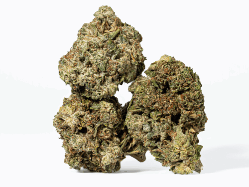 Banana Jelly (AA)