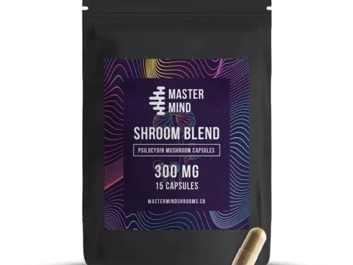 Mastermind - Mushroom Blend Capsules (15x300mg)