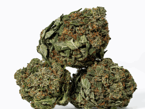 Bubba Kush (AA+)