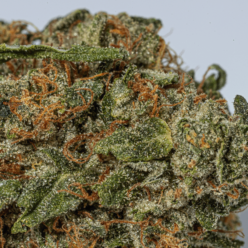 Bubba Kush (AA+) - Image 5
