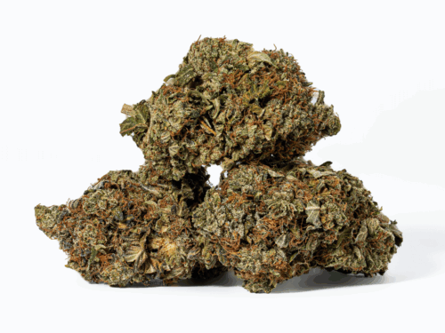 Grease Monkey (AA)