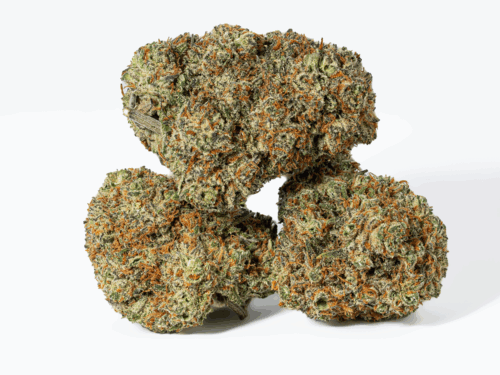 Blackberry Headband (AAA+)