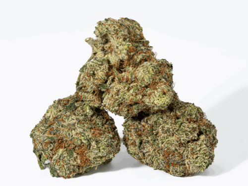 Cherry Dosi (AAA+)