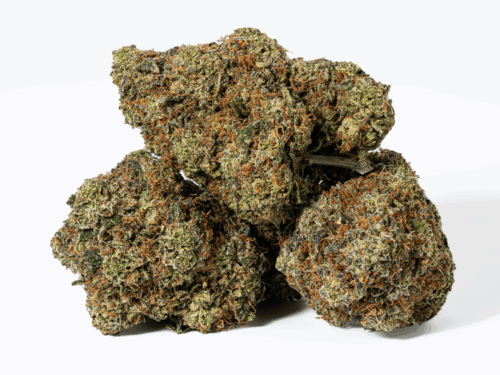 Gorilla Pink (AAA+)