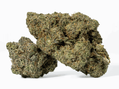 Rainbow Jones (AAAA)