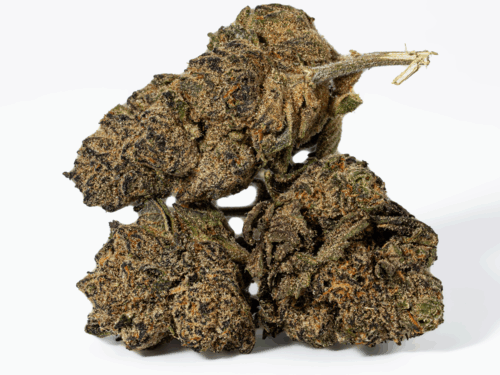 Purple Pinecone (AA+)