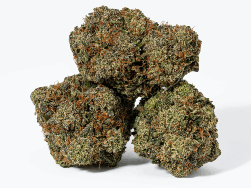 Rockstar Tuna (AAA+)