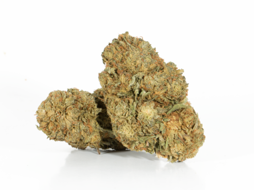 Romulan (AA)