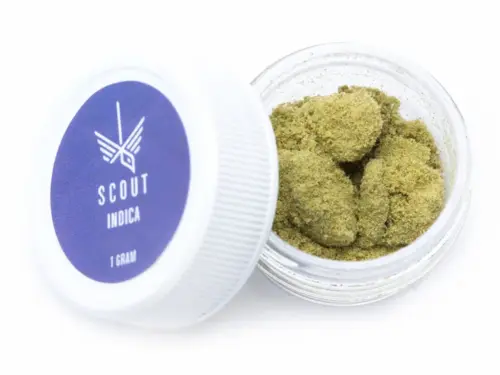 Scout - Kief (1g) - Barbara Bud Blonde