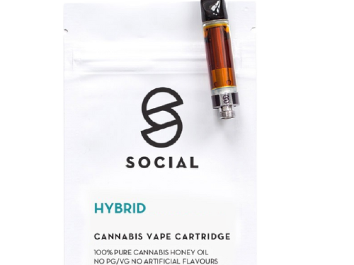 Social - Honey Oil Cartridge (1ML) - Hybrid
