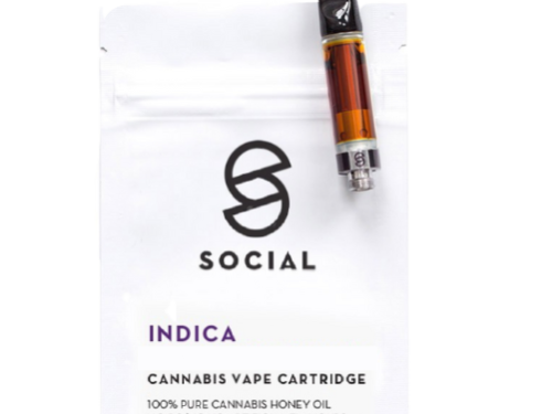 Social - Honey Oil Cartridge (1ML) - Indica