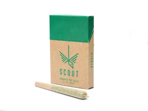 Scout - 5 Pack Pre-Rolls (0.5g) - Hybrid