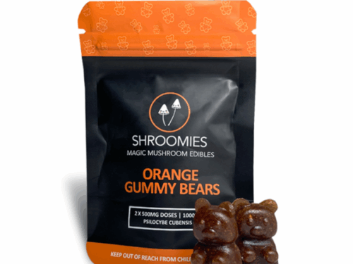 Shroomies Gummies - Orange Bears (1000mg)