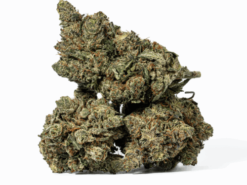 Purple Aurora (AAA+)