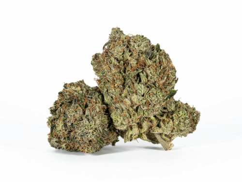 Ultra Pink (AAA+)