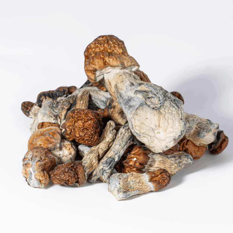 Vietnamese Mushrooms - Image 3
