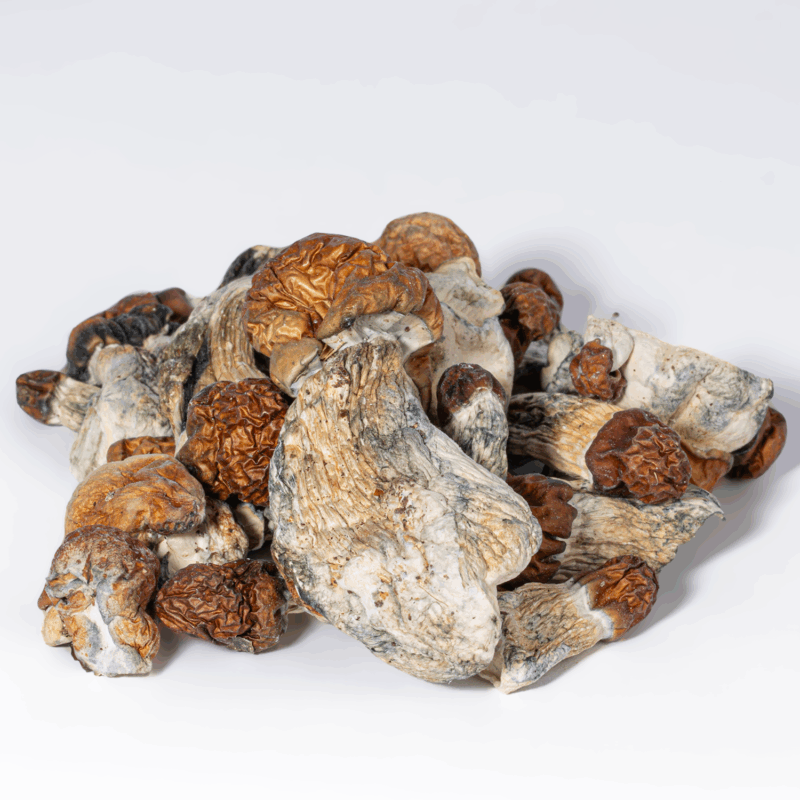 Vietnamese Mushrooms - Image 4