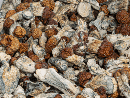 Vietnamese Mushrooms
