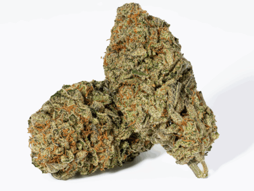Jasmine Thai (AAA+)