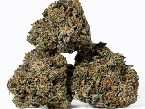 Presidential OG (AAAA)