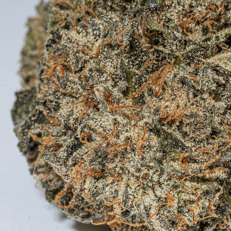 Presidential OG (AAAA) - Image 5