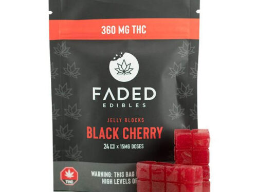 Faded Jelly Blocks - Black Cherry (360mg)