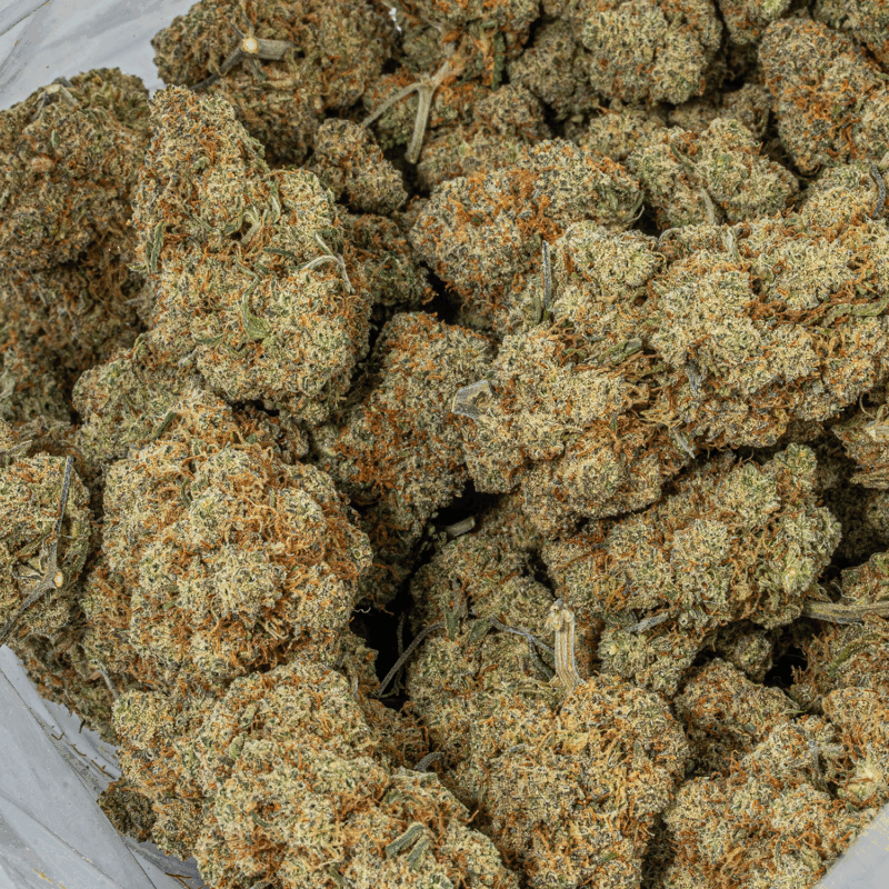 Orange Julius (AA+) - Image 4