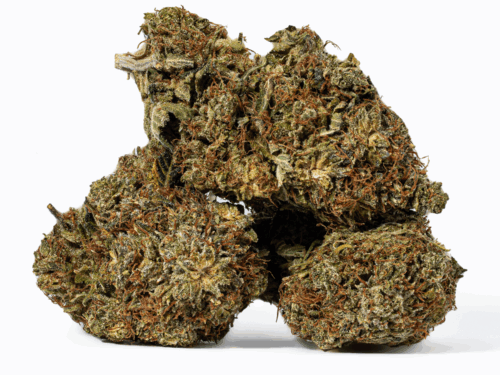 Island Sweet Skunk (AA)