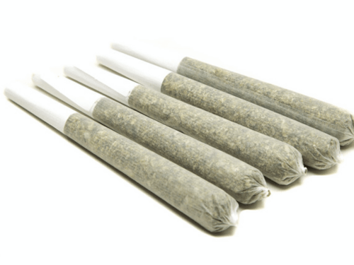 Premium 1g House Joints (AAAA+) - 5 Pack