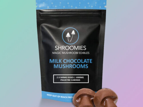 Shroomies Chocolates - Milk Chocolate Mushrooms (1000mg)